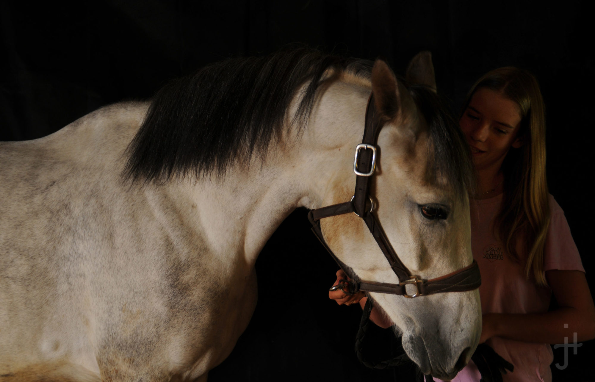 Une photographie d'art au service de l'équitation